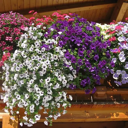 아파트 Schneezauber *