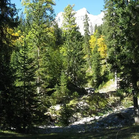 Schneezauber 레르모스