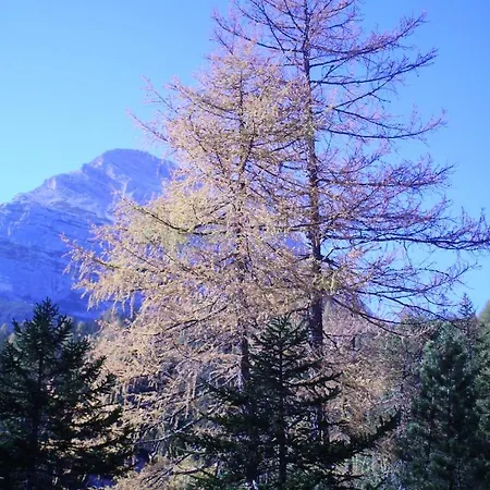 아파트 Schneezauber *