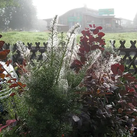 Schneezauber 아파트 *