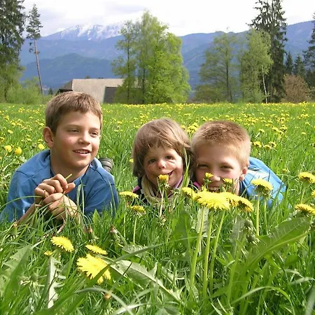 아파트 Schneezauber 레르모스